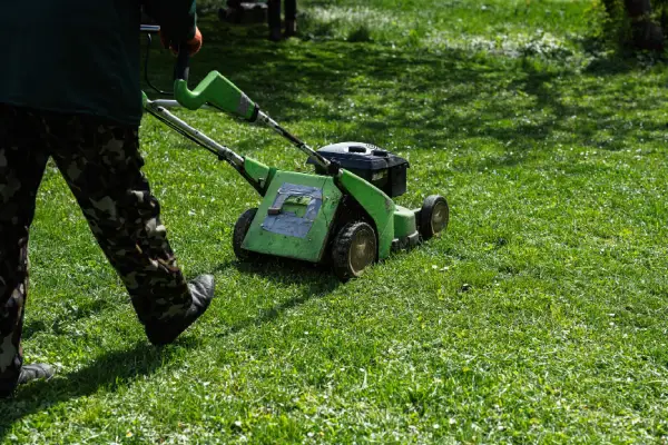 Landscaping Services