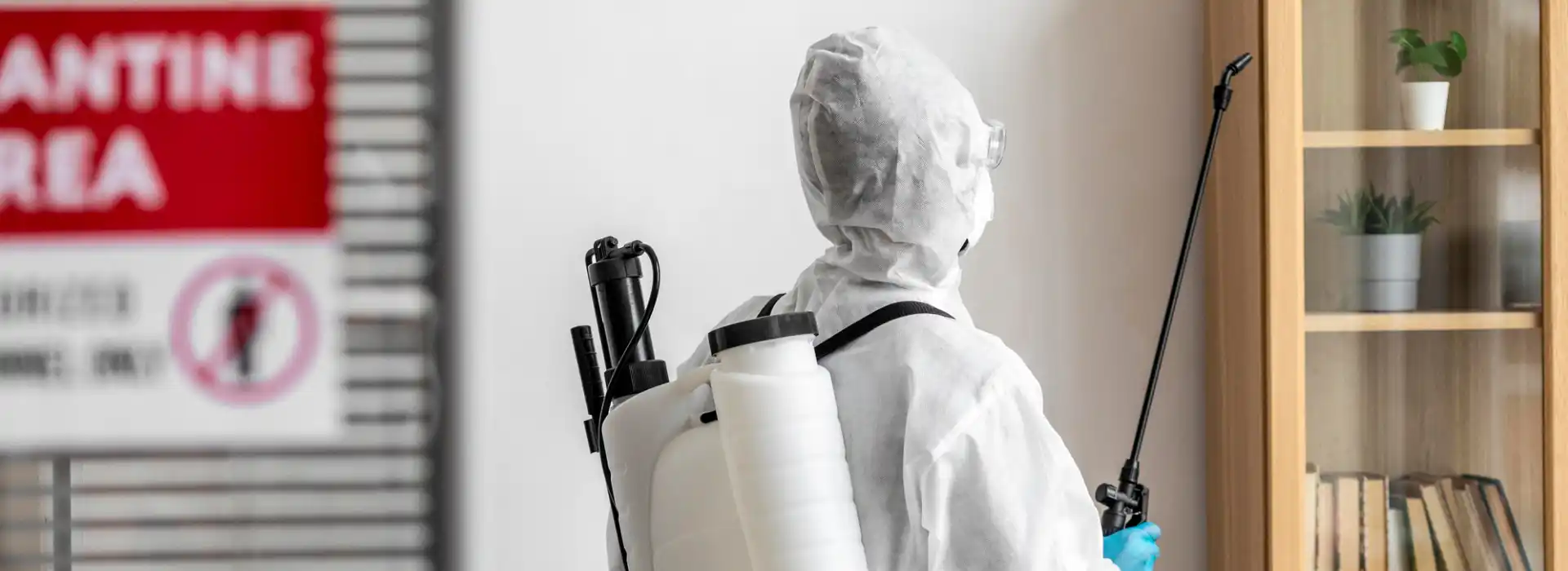 Comprehensive Pest Control for a Safe, Pest-Free Home